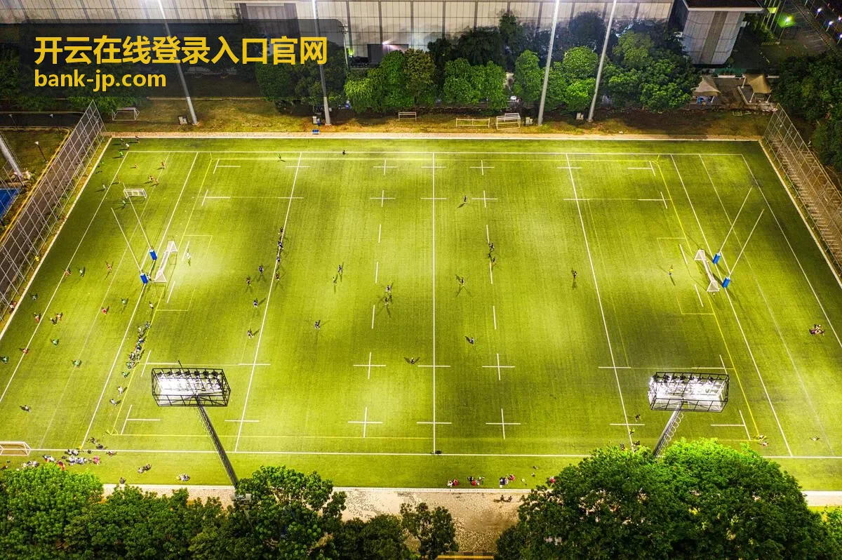 开云在线登录入口官网手机与平板适配示意封面